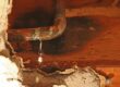 How to Check for a Water Leak in Your Home: Step-by-Step Guide
