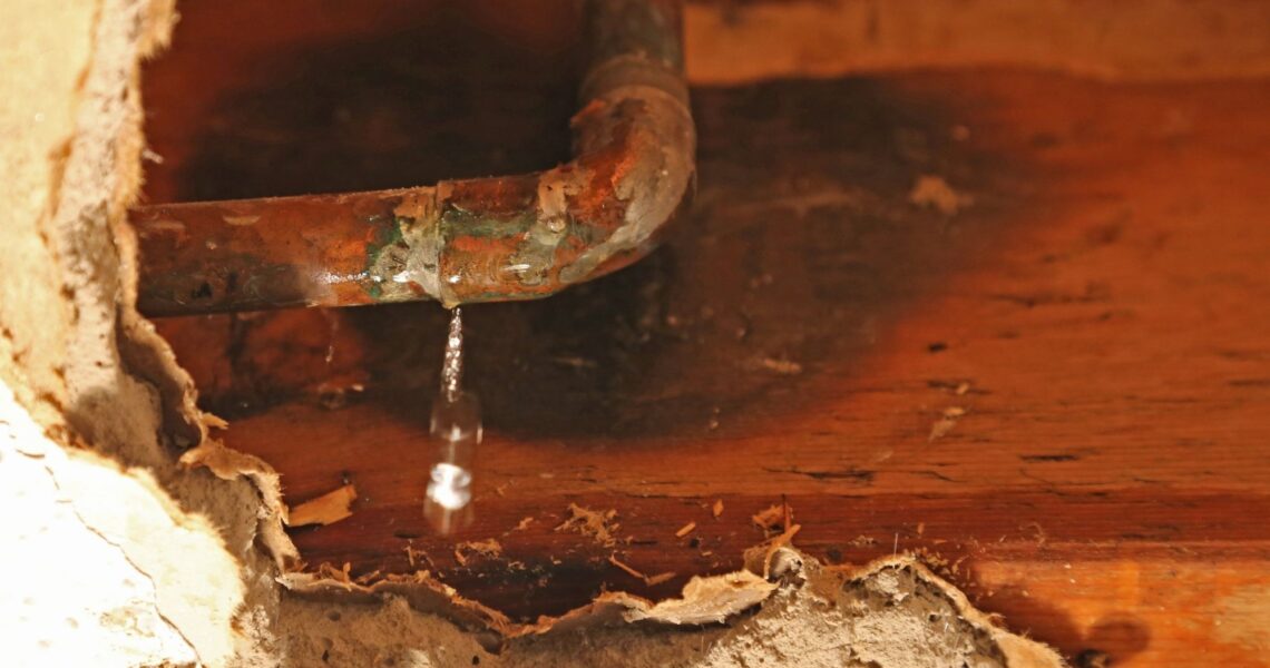 How to Check for a Water Leak in Your Home: Step-by-Step Guide