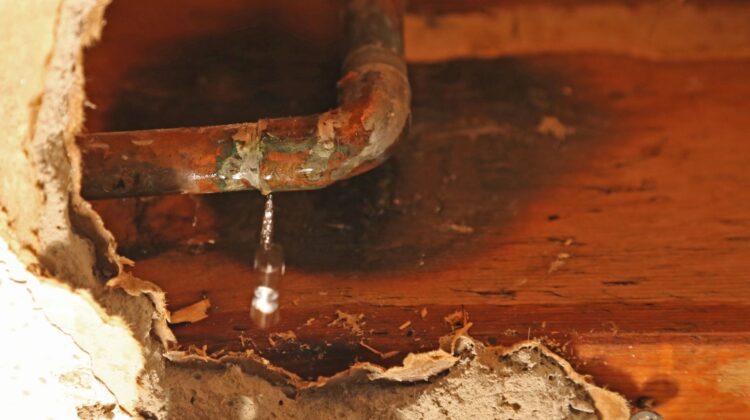 Water leaks are one of the most common causes of unexpected spikes in utility bills. A slow leak from a toilet tank or a hidden pipe under your foundation can waste thousands of gallons of water each year. draining your wallet and damaging your home. Learning how to check for a water leak early can […]