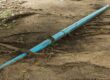 Tree Roots in Sewer Line: Causes and Expert Fixes