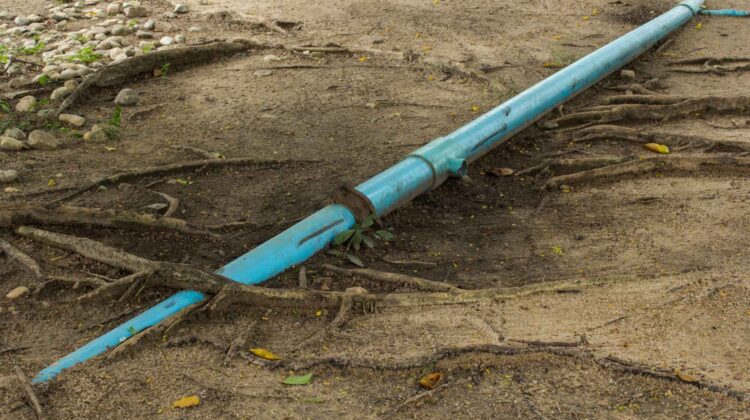 Few plumbing issues cause as much frustration as tree roots in a sewer line. A small crack in a drain pipe is all it takes for root hairs to sense moisture and grow inside. Over time, the roots expand, forming a living net that blocks the entire line. For homeowners in Fairfield County, CT, and […]